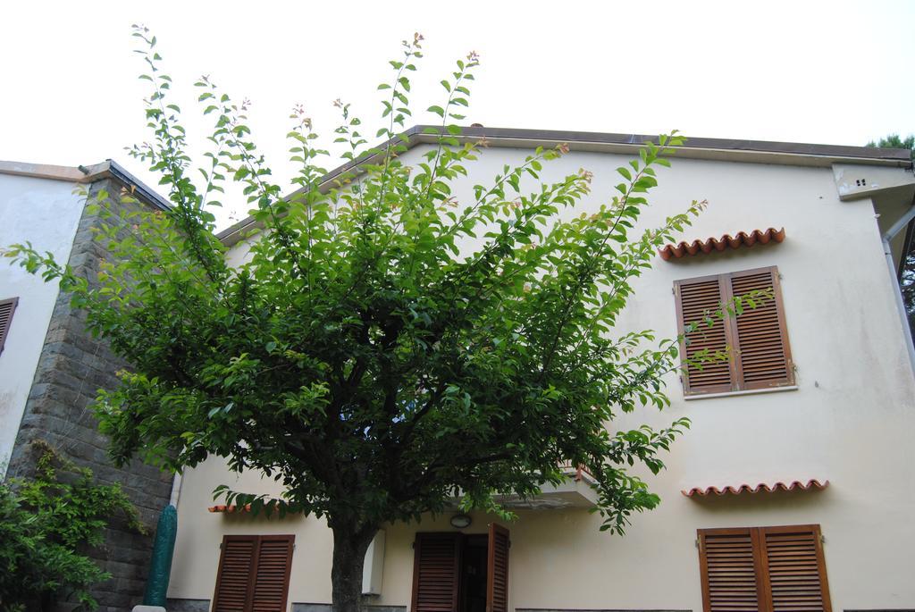 Il Susino Apartamento Tirrenia Exterior foto